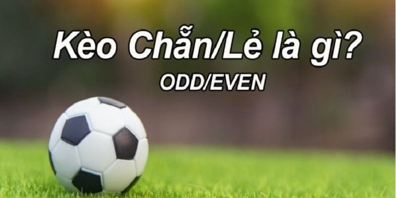 Kèo chẵn lẻ Hi88 - Dễ chơi dễ trúng thưởng 4 keo-chan-le-hi88